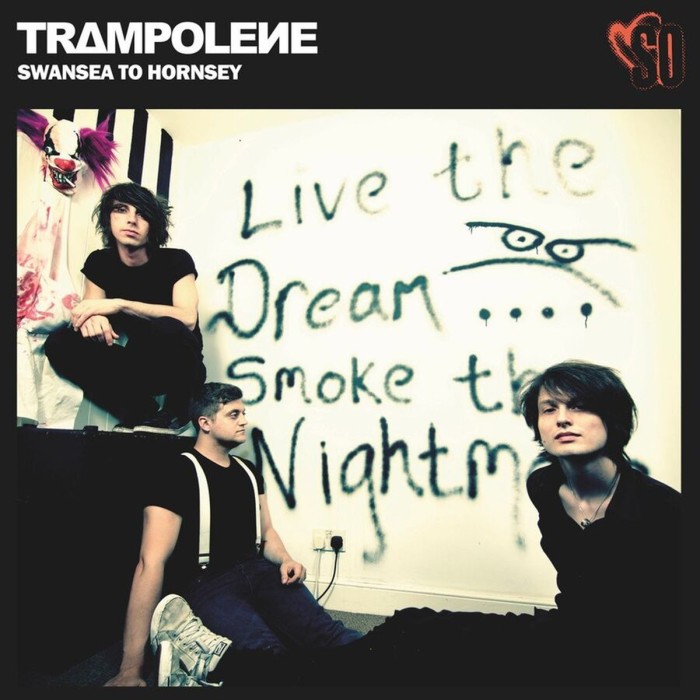 Trampolene - Swansea To Hornsey (Anniversary Edition - Yellow Vinyl)