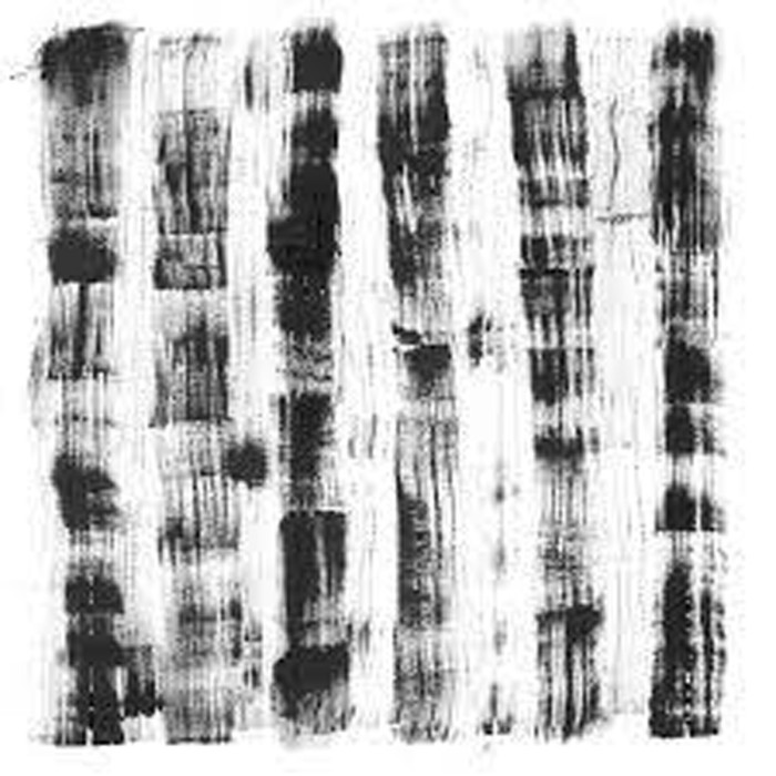 Ocoeur - Nouveau Départ