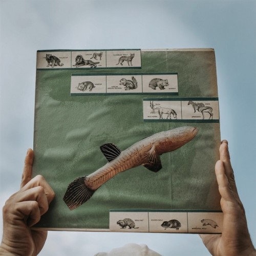 Cotton Jones - River Strumming