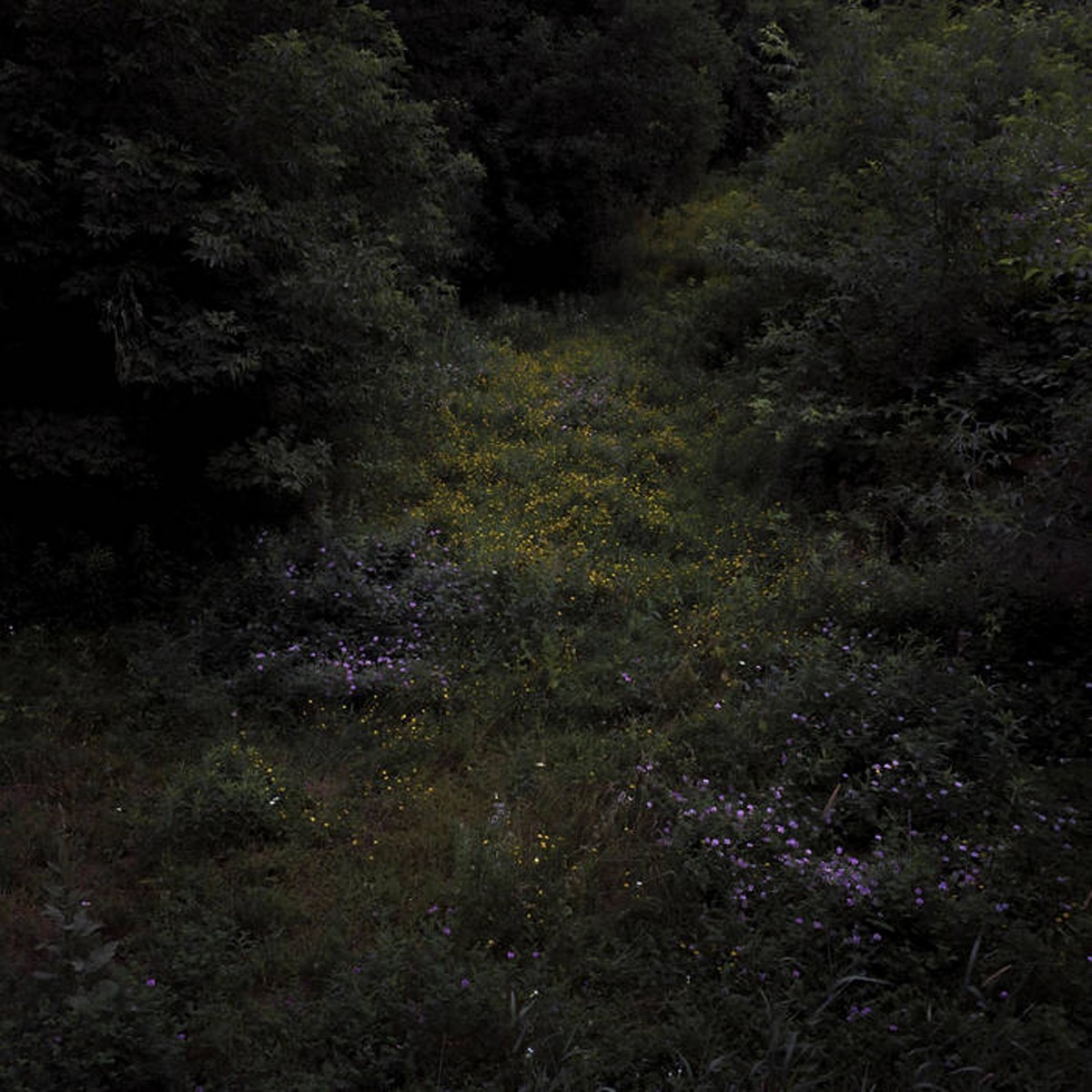 Fireworks - Higher Lonely Power (Cloudy Black Vinyl)