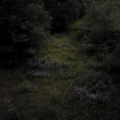 Fireworks - Higher Lonely Power (Cloudy Black Vinyl)