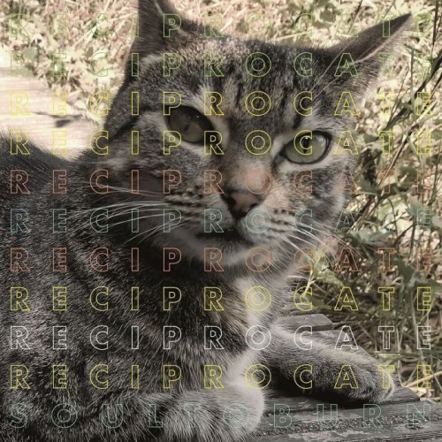 Reciprocate - Soul To Burn