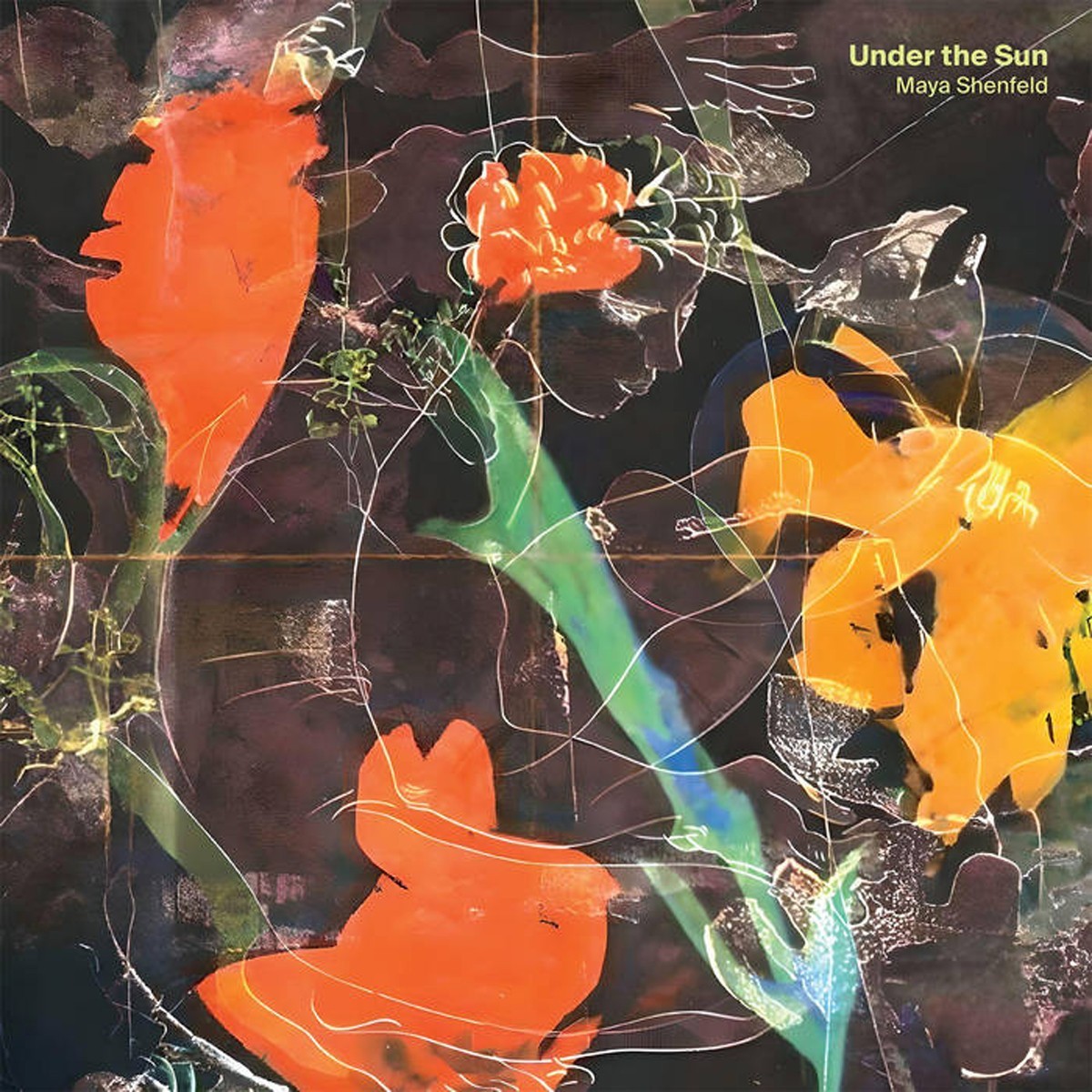 Maya Shenfeld - Under The Sun