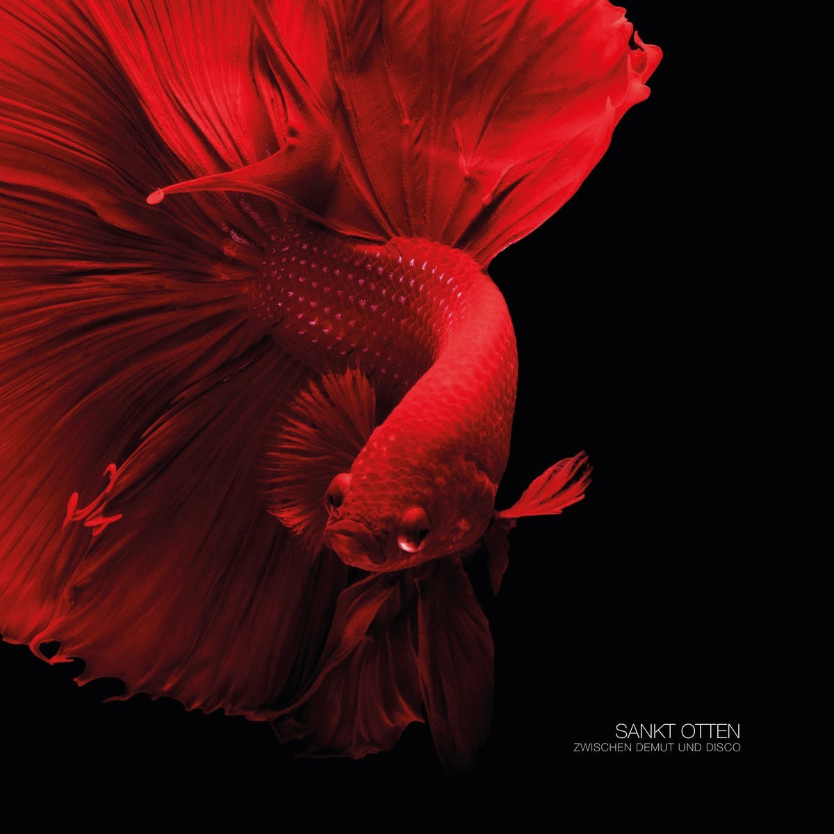 Sankt Otten - Zwischen Demut Und Disco