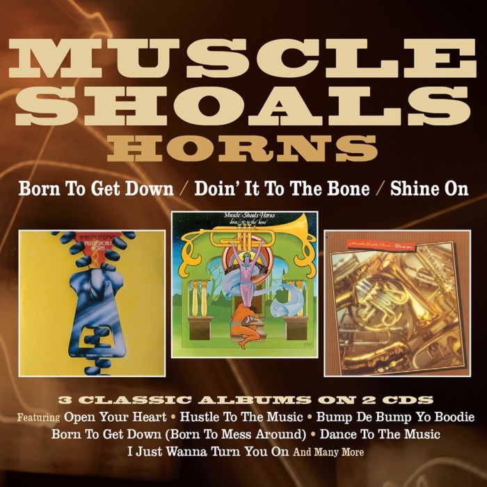Muscle Shoals Horns - Born To Get Down / Doin' It To The Bone / Shine On