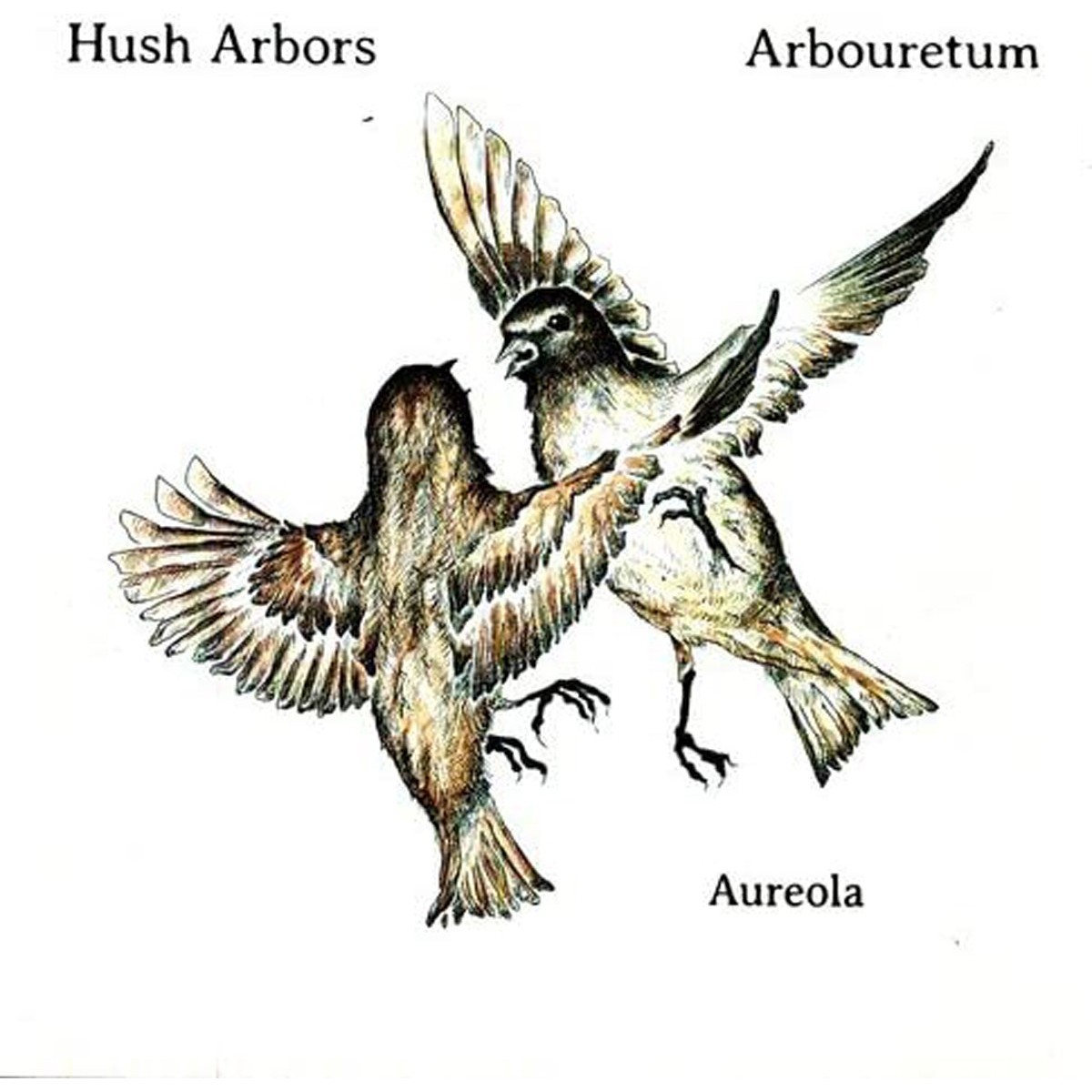 Hush Arbors & Arbouretum - Aureola