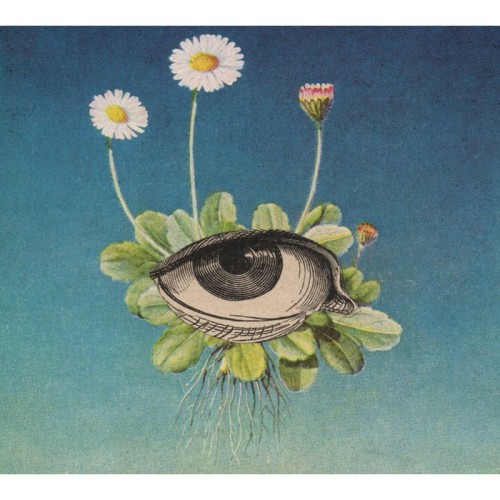 Ojerum - The Limited Circle Is Pure