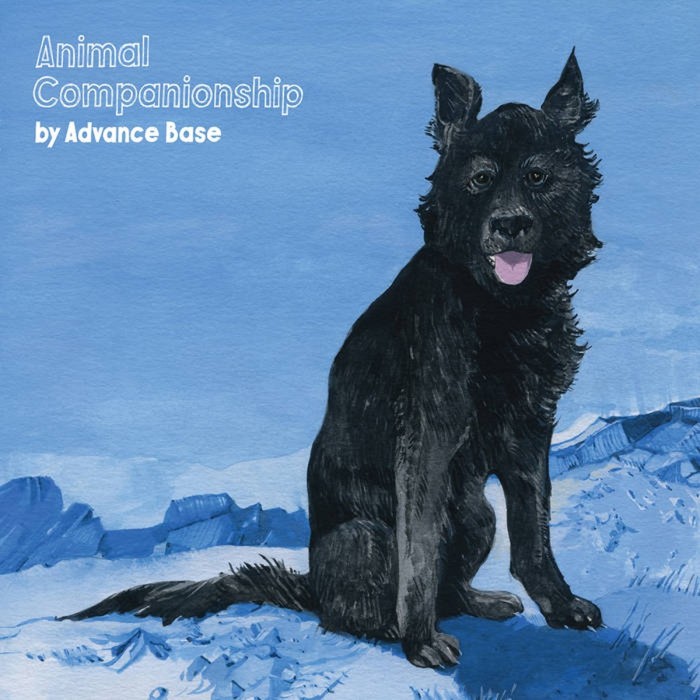 Advance Base - Animal Companionship (Clear Vinyl)