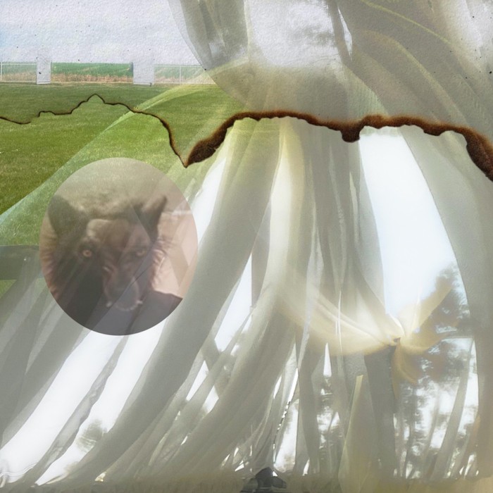 Credit Electric - Six