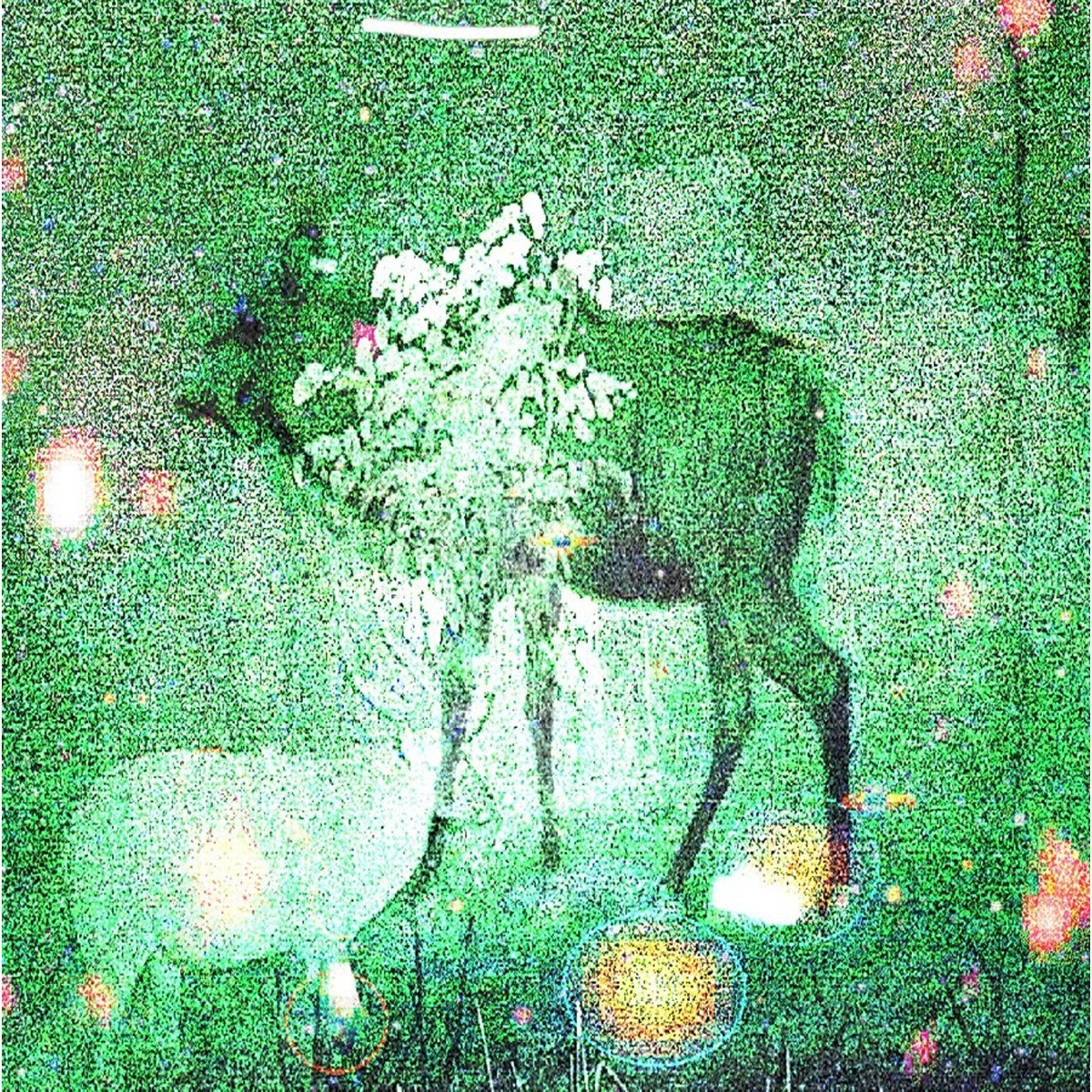 Ghost Lemurs - Wombs And Alien Spirits