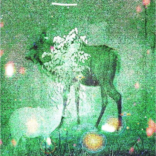 Ghost Lemurs - Wombs And Alien Spirits