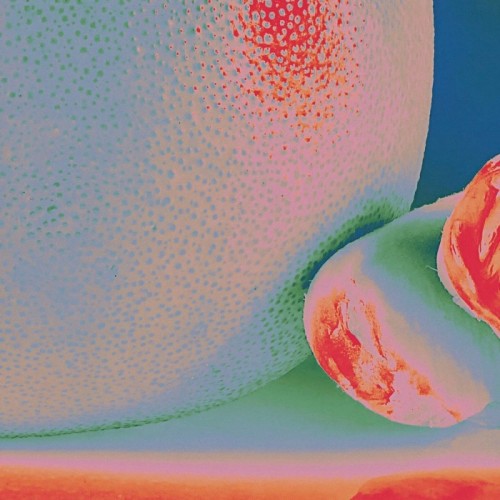 Citrus Citrus - Albedo Massima