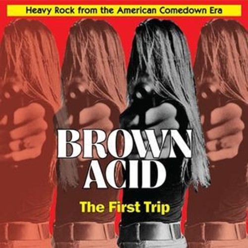 Various Artists - Brown Acid - The First Trip