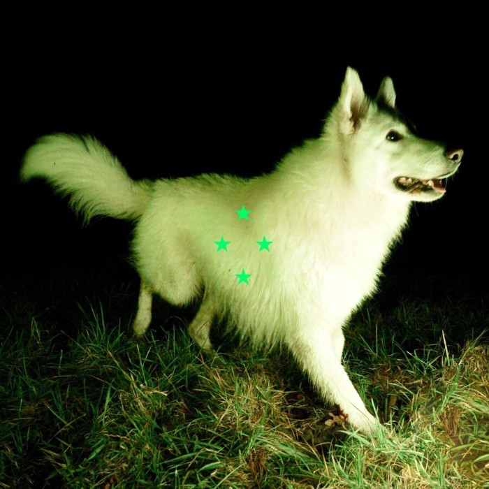 Real Farmer - Compare What's There (Fluorescent Green Vinyl)