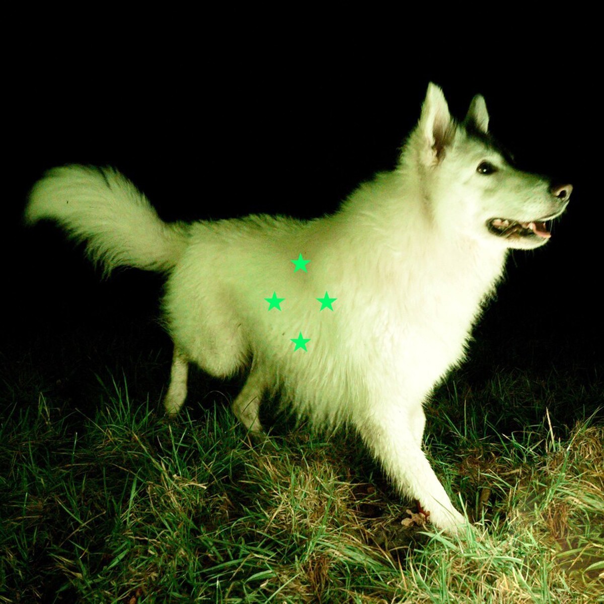 Real Farmer - Compare What's There (Fluorescent Green Vinyl)