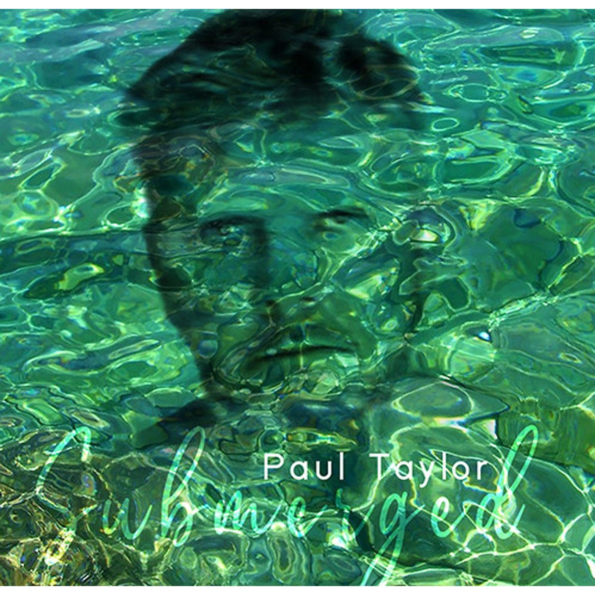 Paul Taylor - Submerged