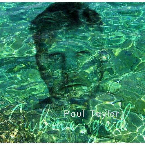 Paul Taylor - Submerged