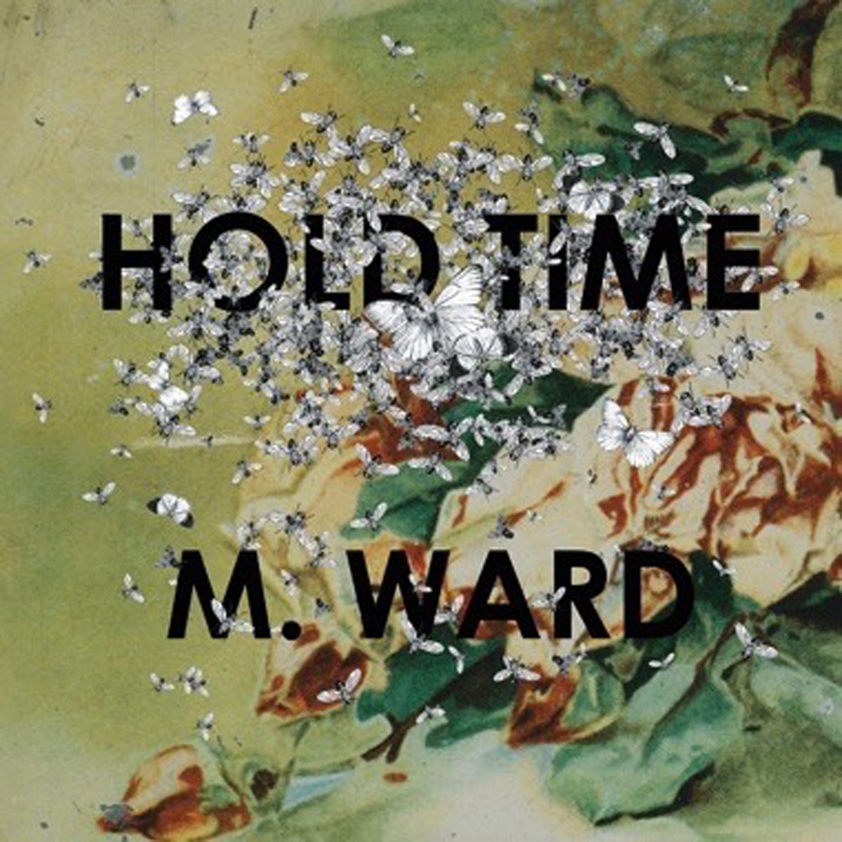 M. Ward - Hold Time