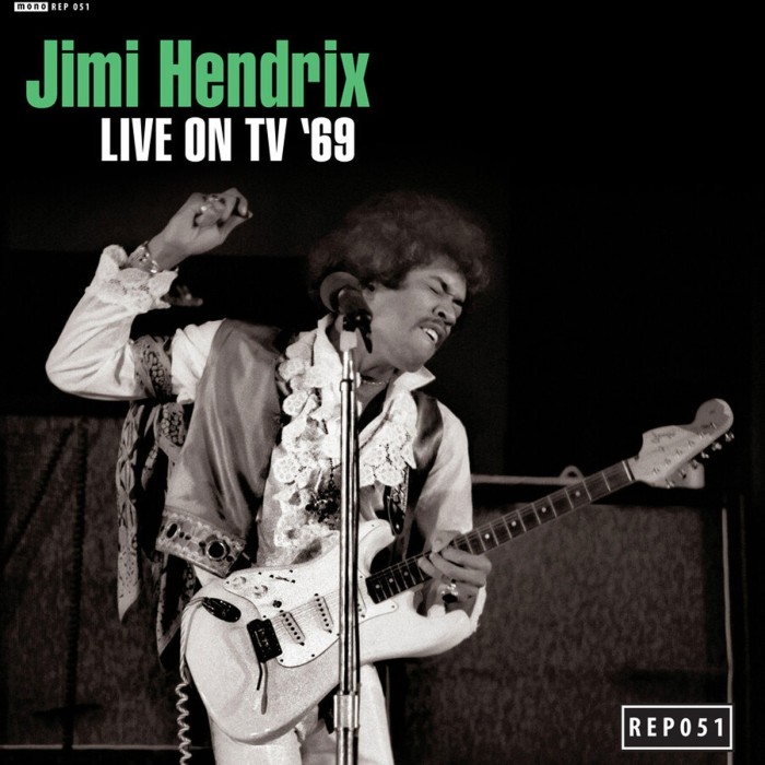 Jimi Hendrix - Live On Tv '69 - Ep