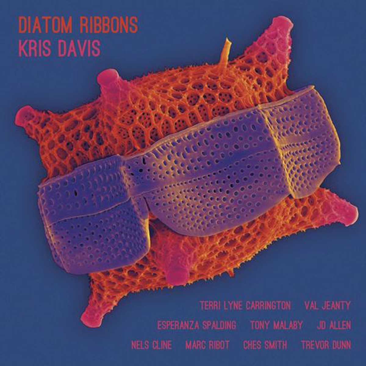 Kris Davis - Diatom Ribbons