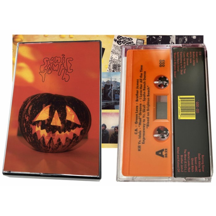 Sonic Youth - Walls Have Ears