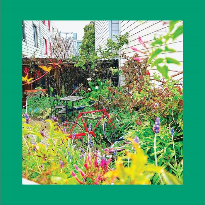 The Reds Pinks And Purples - Unwishing Well (White Vinyl)