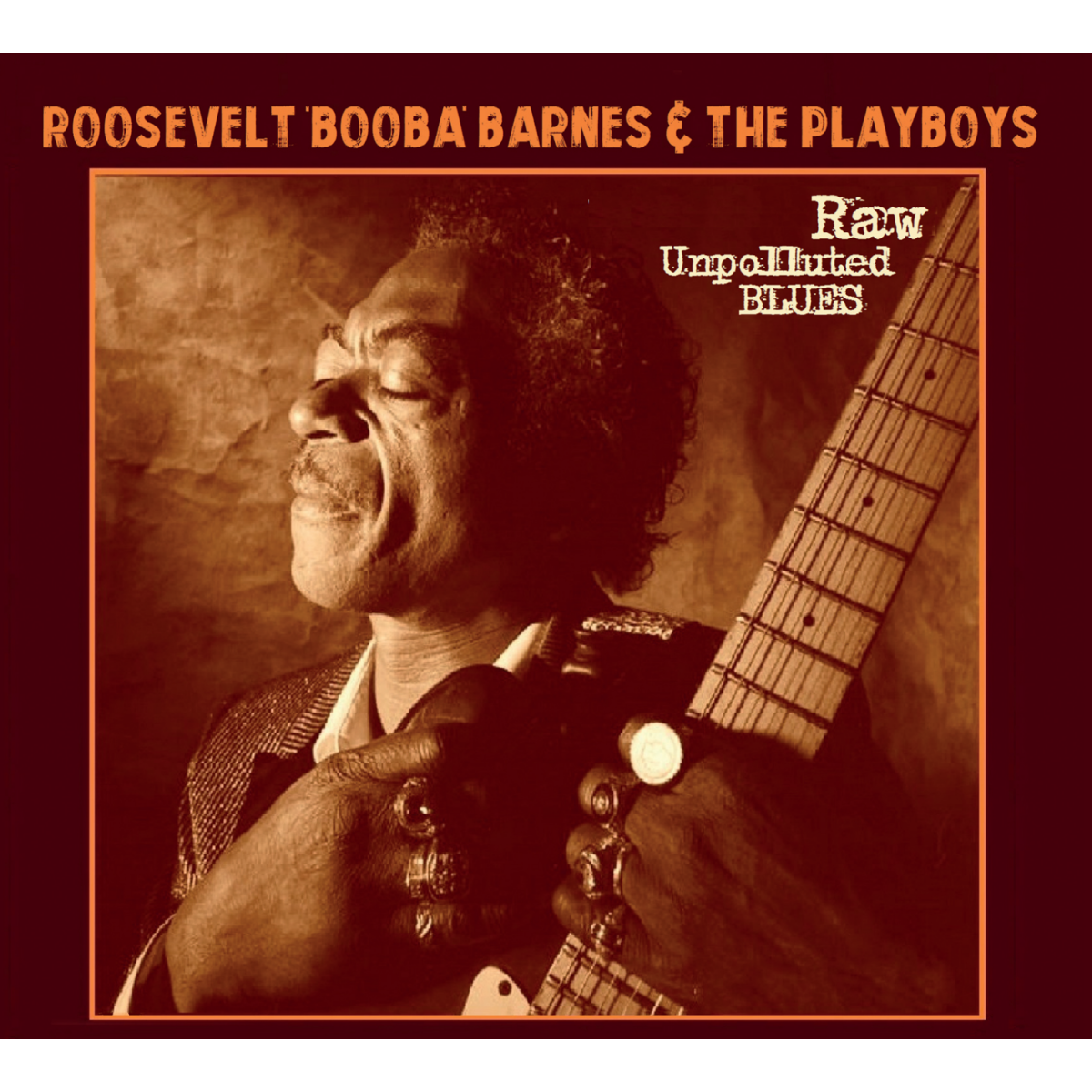 Roosevelt Melvin "Booba" Barnes - Raw Unpolluted Blues