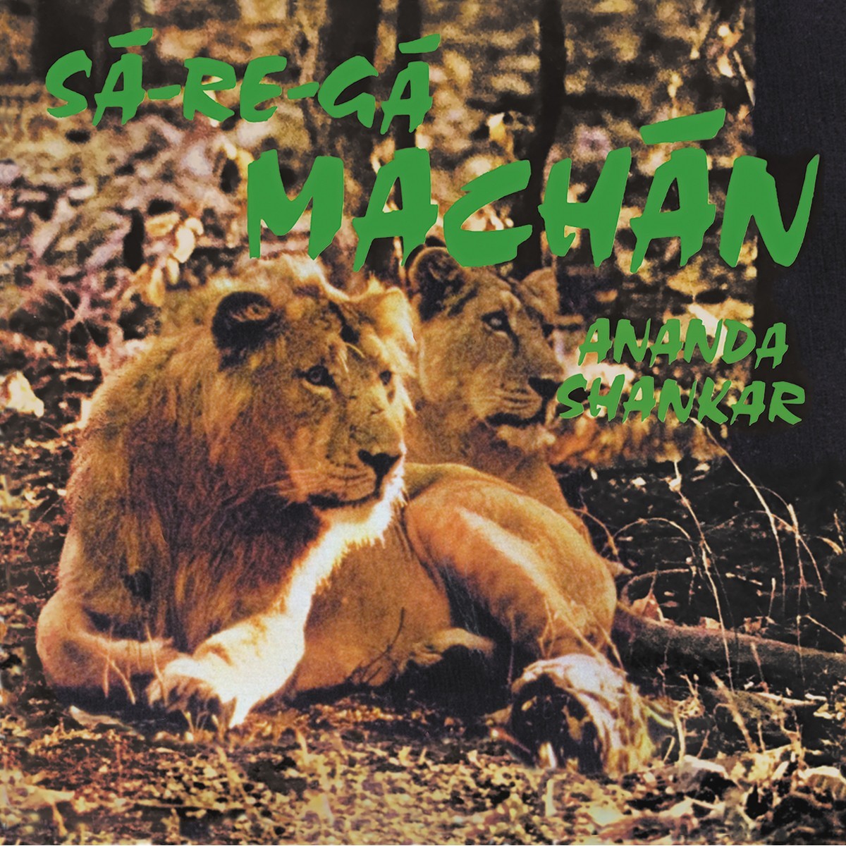 Ananda Shankar - Sa-Re-Ga Machan