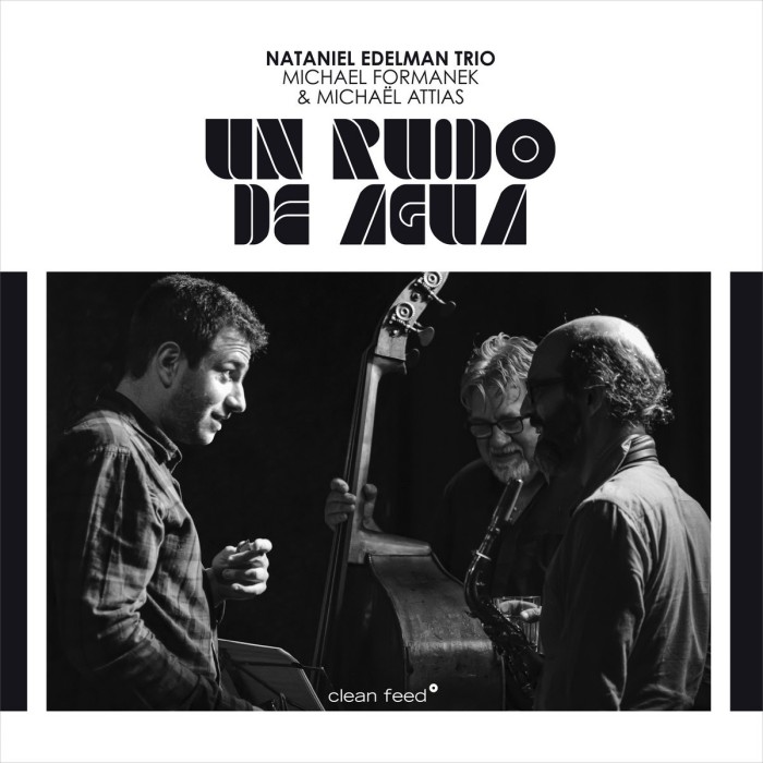 Nataniel Edelman Trio Feat. Michael Formanek & Michaël Attias - Un Ruido De Agua