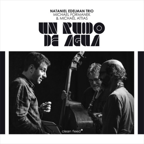 Nataniel Edelman Trio Feat. Michael Formanek & Michaël Attias - Un Ruido De Agua