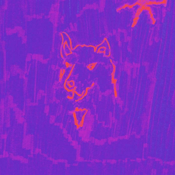 Dehd - Poetry (Plutonium Colour Vinyl)