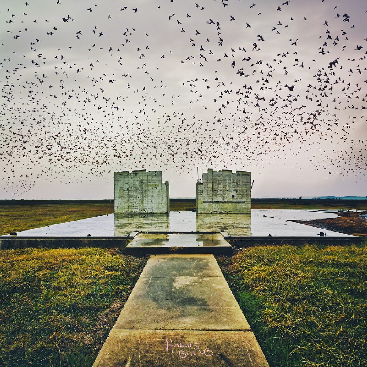 Lord Buffalo - Holus Bolus (Ice & Aqua Blue Galaxy Marble Vinyl)