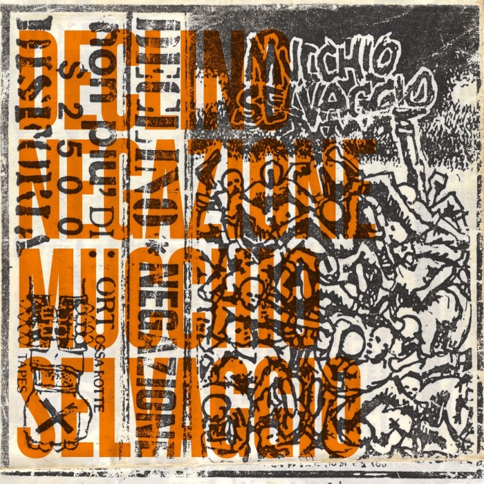 Declino & Negazione - Mucchio Selvaggio