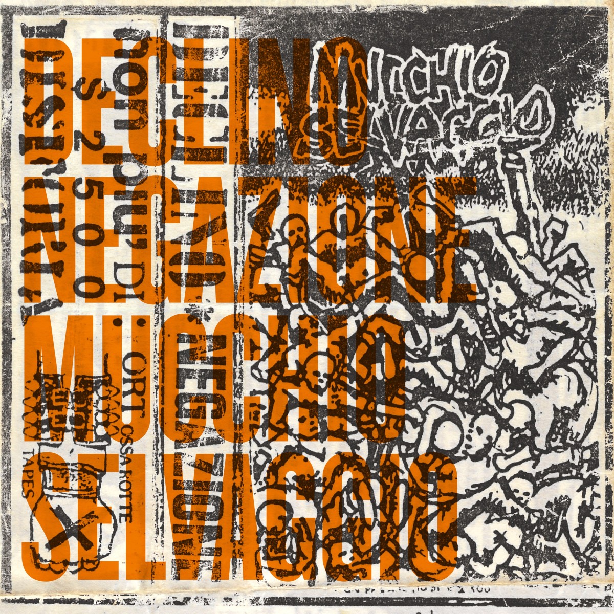 Declino & Negazione - Mucchio Selvaggio