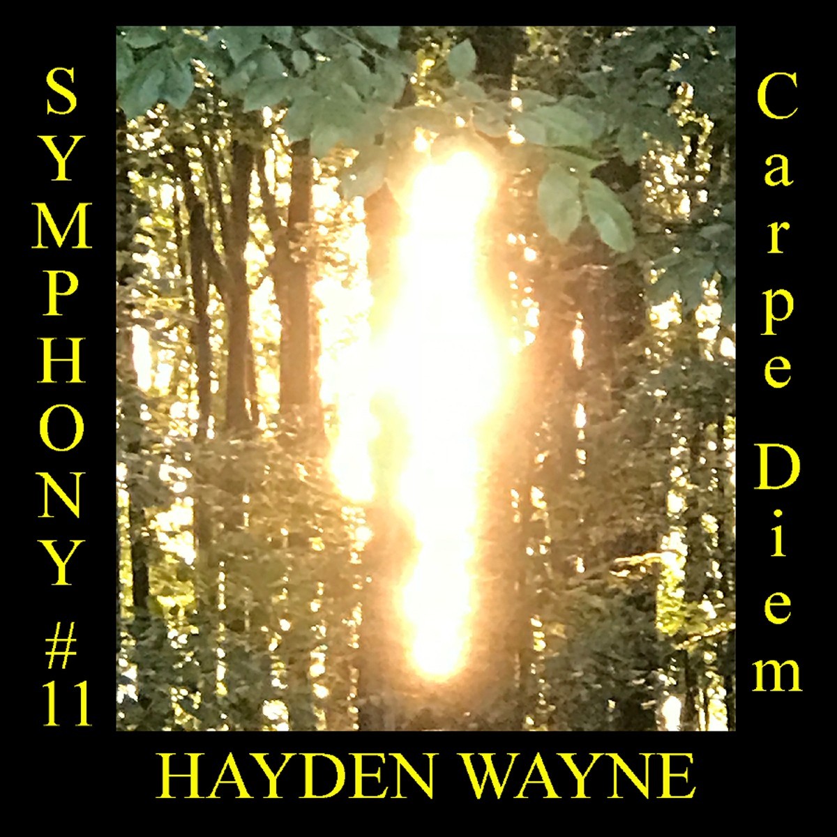 Hayden Wayne - Symphony N.11: Carpe Diem