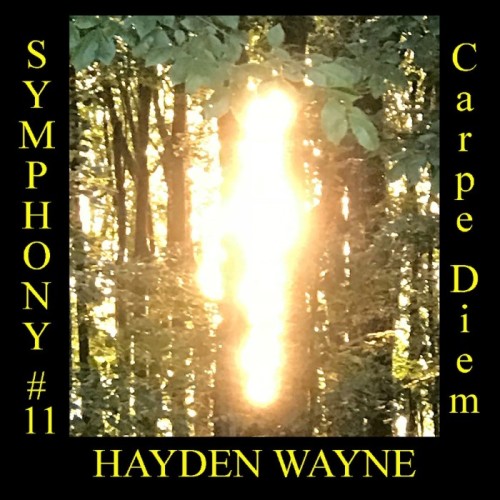 Hayden Wayne - Symphony N.11: Carpe Diem