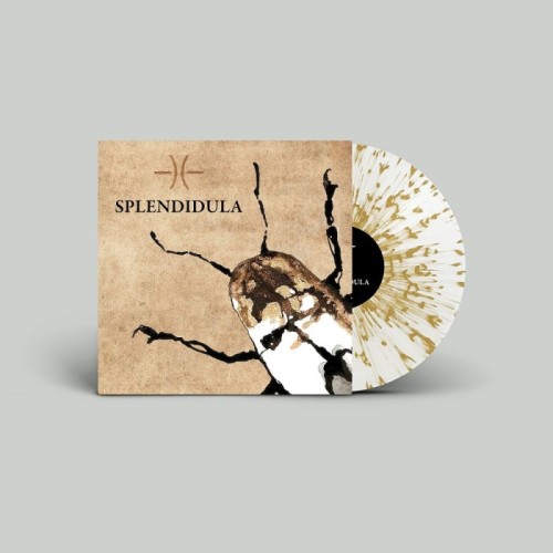Splendidula - Splendidula (Colored 180Gr)