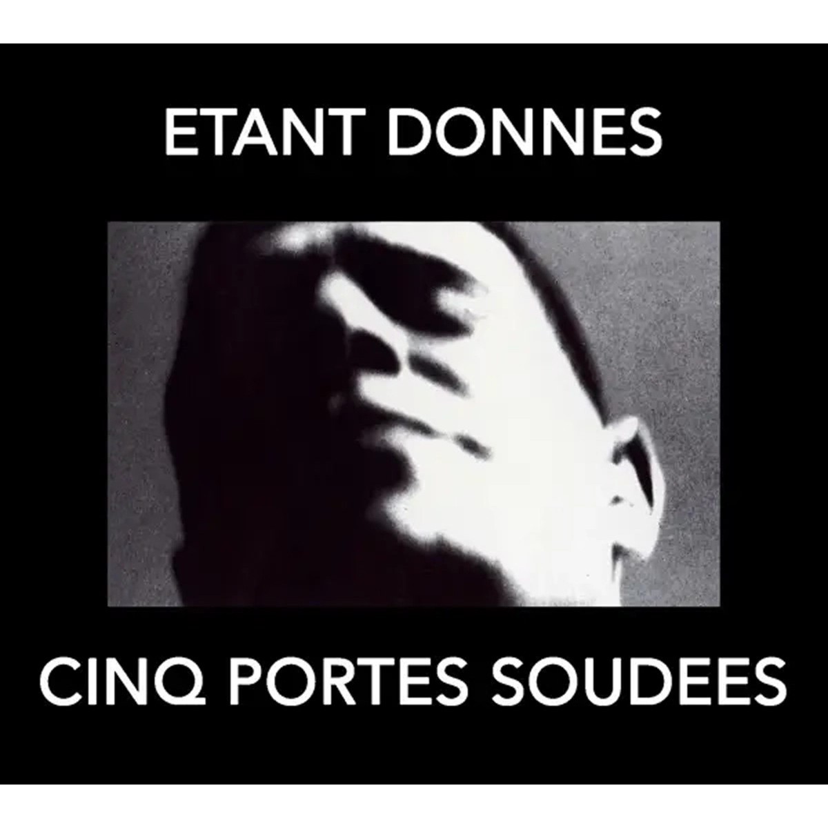 Etant Donnes - Cinq Portes Soudees