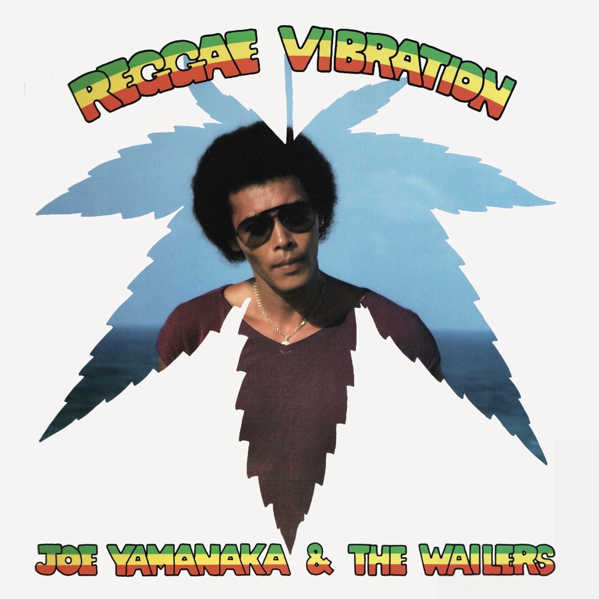 Joe Yamanaka & The Wailers - Reggae Vibration