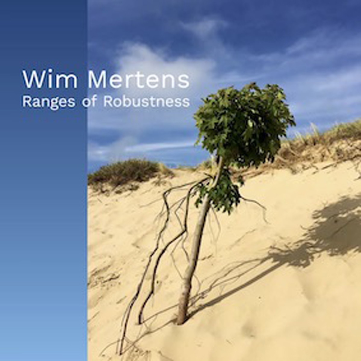 Wim Mertens - Ranges Of Robustness
