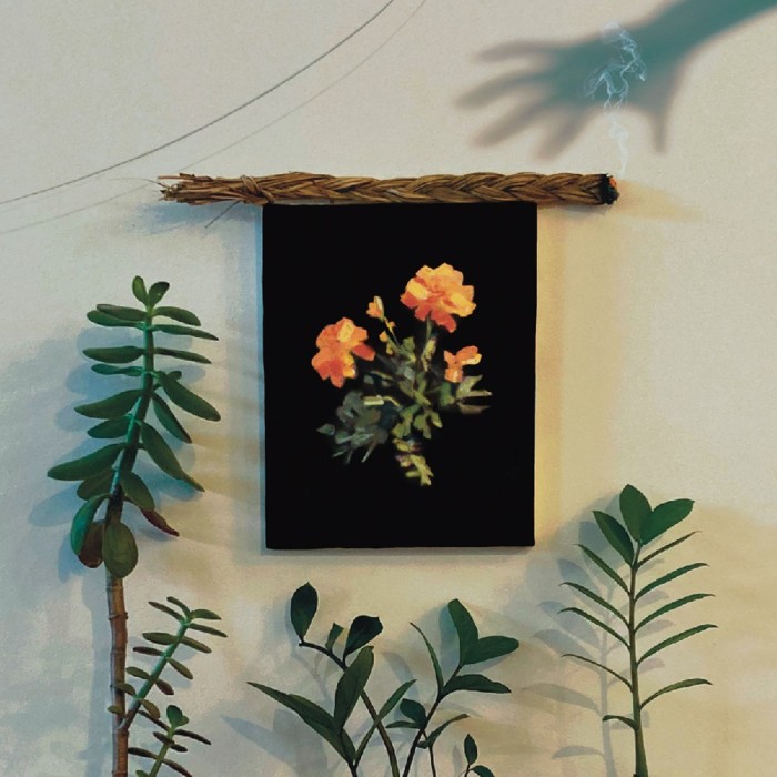 Why? - The Well I Fell Into (Coke Bottle Clear Vinyl)