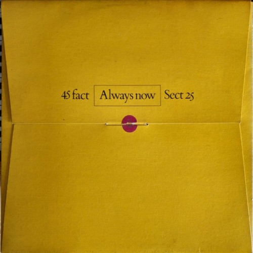 Section 25 - Always Now