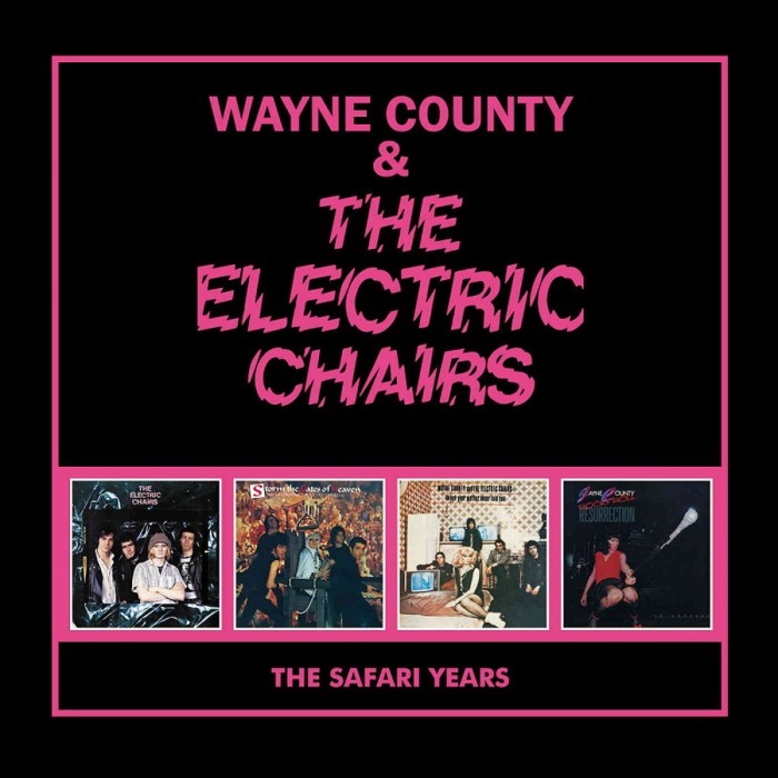 Wayne County & The Electric Chairs - The Safari Years (4Cd)