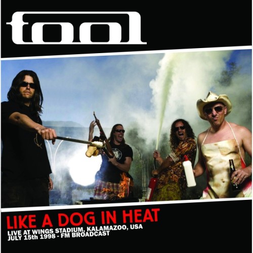 Tool - Like A Dog In Heat: Live At Wings Stadium
