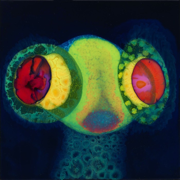 Osees - Sorcs 80 (Color Vinyl)