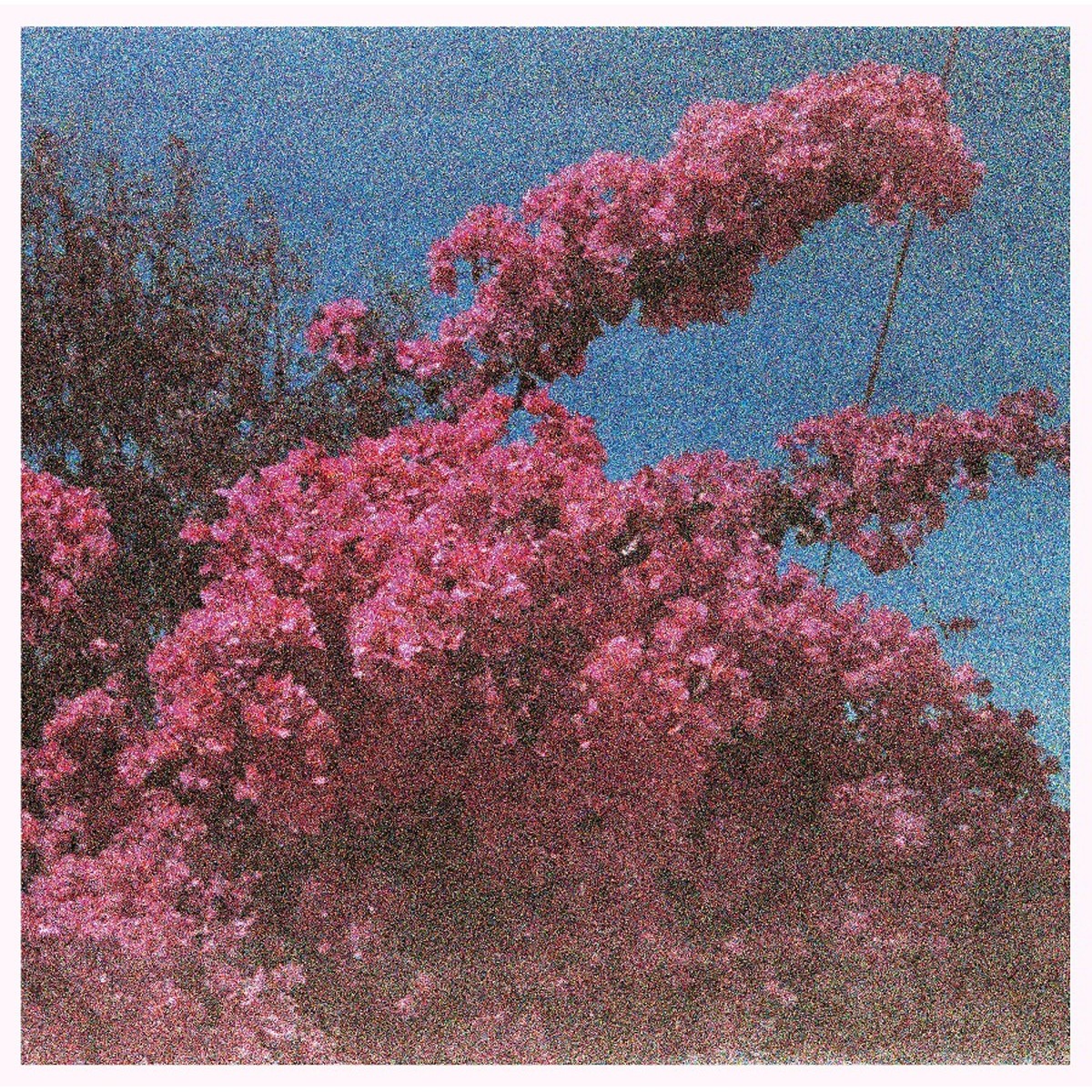 Elisabeth Klinck - Picture A Frame (White Vinyl)