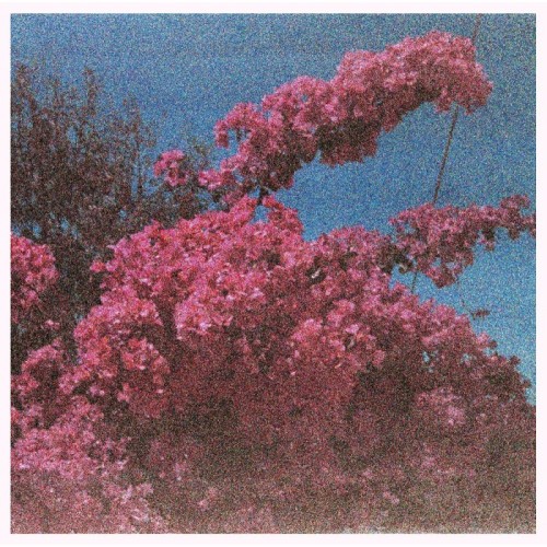 Elisabeth Klinck - Picture A Frame (White Vinyl)