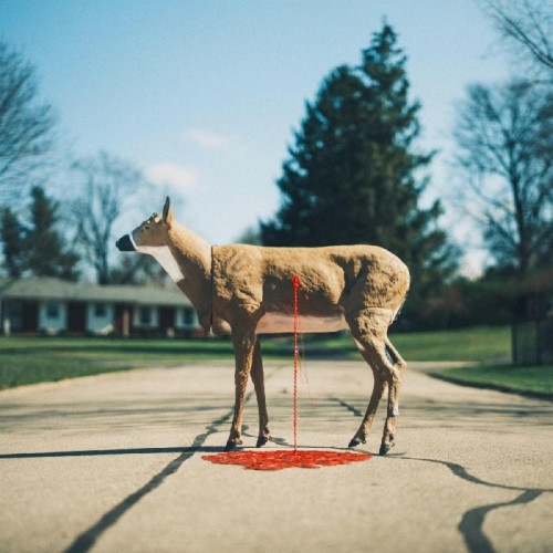 Wayne Graham - Bastion (Hardwood Colored)