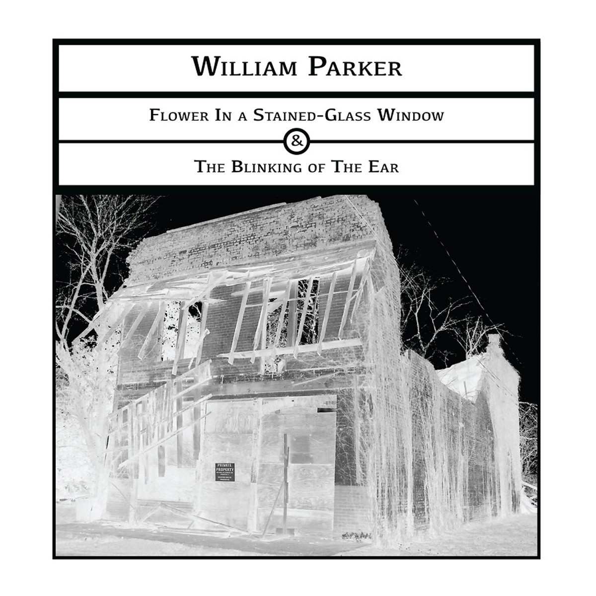William Parker - Flower In A Stained - Glass Window & The Blinking Of The Ear