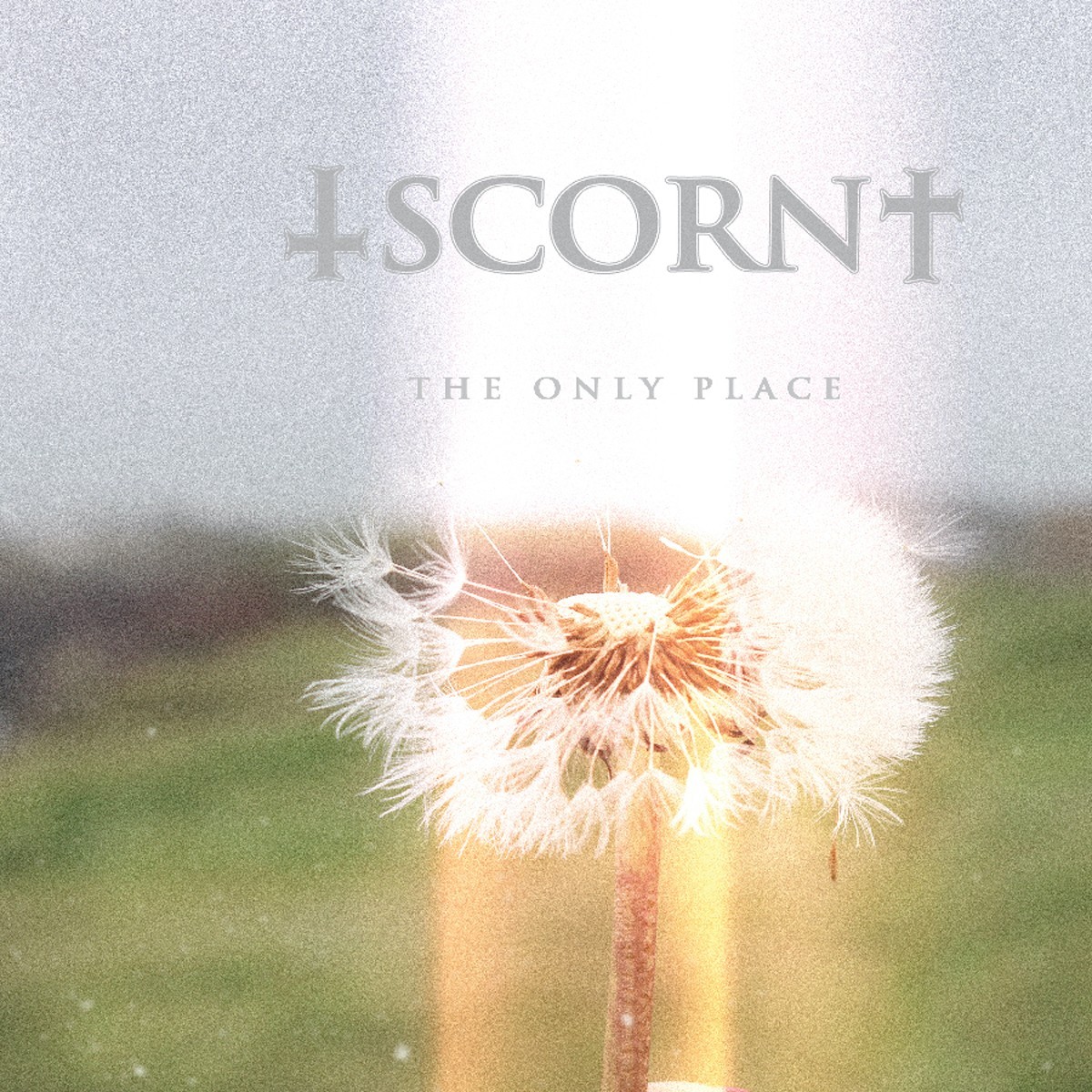 Scorn - The Only Place